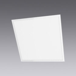 LLEDP14 600x600